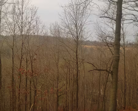 P1160202 Au loin, l'aqueduc de Buc construit en 1686 pour acheminer l'eau destinée aux fontaines et jets d'eau du parc de Versailles