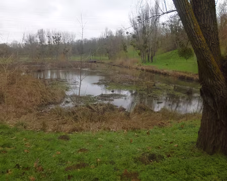 P1160208 Le bassin des Damoiseaux, à Bièvres