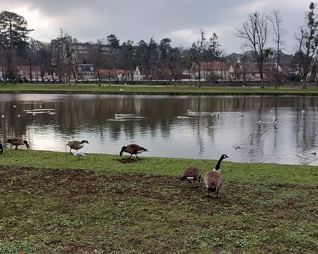 20230121_121606-Fred