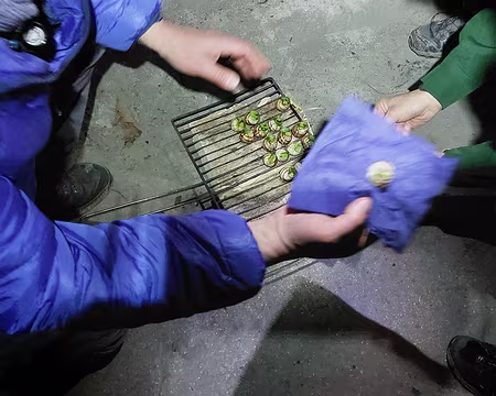 20230121_192921-Fred