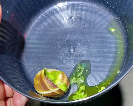 20230121_193003-Fred