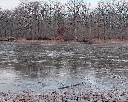 20230122_091943-Fred