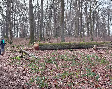 20230122_102555-Fred