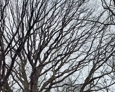 20230122_104508-Fred