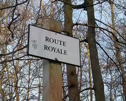 003 La Route royale, témoin du passé historique de la forêt aménagée pour la chasse à courre sous l’Ancien Régime