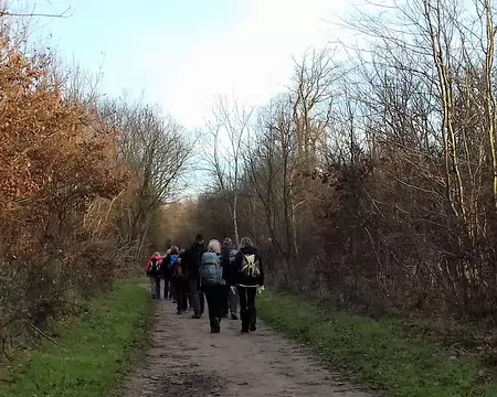 004 Sur la Route royale