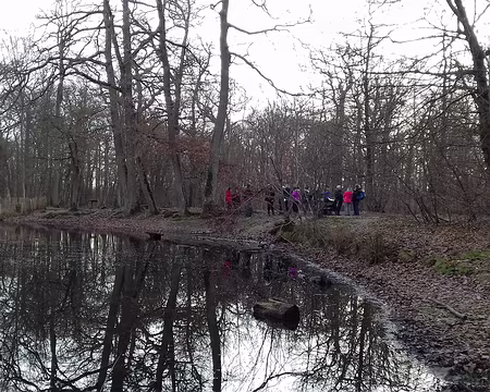 008 Pause au bord de la mare aux Canes