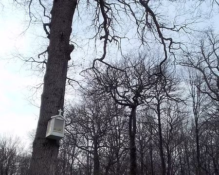 010 Un oratoire sur la route de Notre Dame du Bon Secours