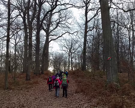 012 Une montée au milieu des chênes rouvres