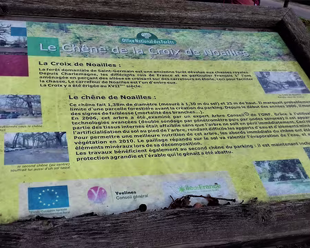 017 Le chêne et la croix de Noailles au centre de la forêt. Le duc de Noailles était le gouverneur de Saint-Germain-en-Laye et le capitaine des chasses royales de...