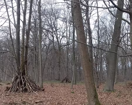 022 Huttes près de l’abri Poulain