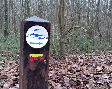 036 Le sentier de la Salamandre sur le circuit du Val. Cet animal était l’emblème de François Ier