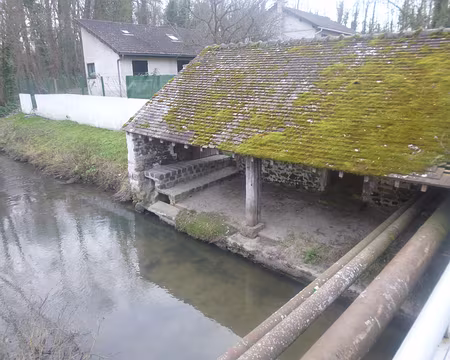 P1160268 Lavoir le long de l'Orge à Egly