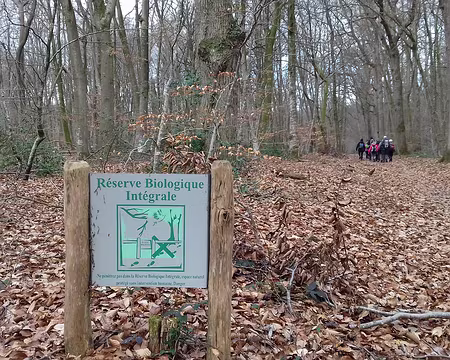 018 Réserve biologique intégrale sur les hauteurs de la Solle