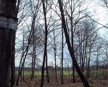 019 L’hippodrome de la Solle vu depuis la route forestière de la vallée de la Solle