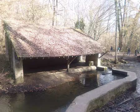 P1160321 Lavoir dans la vallée de l'Yvette près de Maincourt