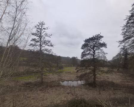 P1160346 Vallée de la Mérantaise