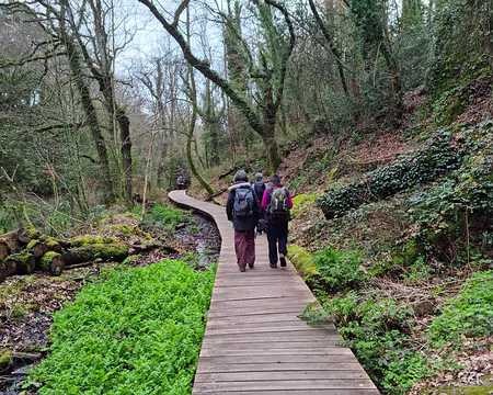 04 L'un des nombreux sentiers aménagés de Concarneau L'un des nombreux sentiers aménagés de Concarneau