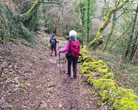 20 Descente dans les gorges de l'Odet Descente dans les gorges de l'Odet