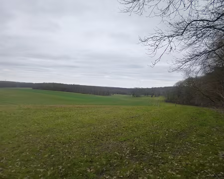 P1160375 Campagne hurepoise