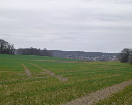 P1160378 Briis-sous-Forges