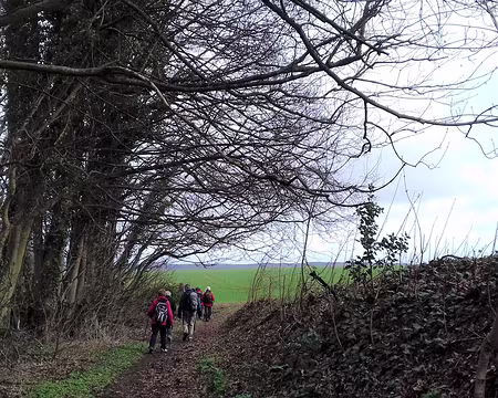 011 Sur le PR en direction du bois Carreau