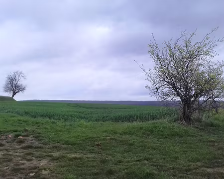 015 Champs cultivés sur les hauteurs