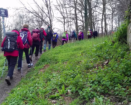 017 Montée vers la forêt domaniale de l’Isle-Adam par la sente des Bois à Nerville-la-Forêt