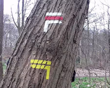 022 PR et GR 1 dans la forêt de l’Isle-Adam