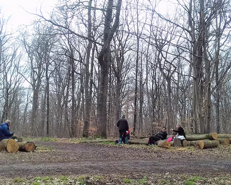 024 Pique-nique convivial dans la forêt