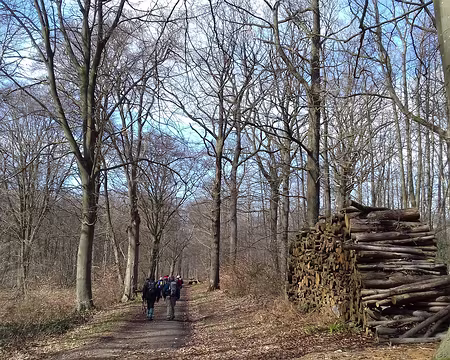 027 Cette forêt a été aménagée pour la chasse par les princes de Conti au XVIIème siècle