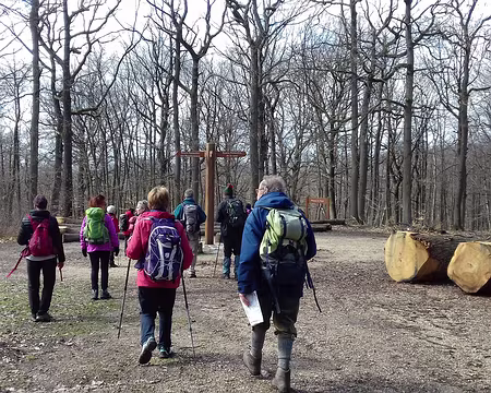 029 Des carrefours en étoile ont été aménagés pour les rendez-vous des équipages comme le carrefour du Poteau de la Tour près du point culminant de la forêt (197 m)