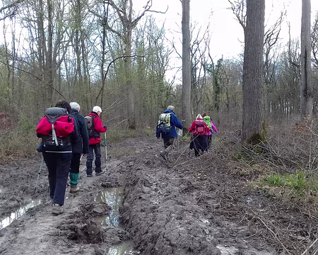 036 La partie sud de cette route forestière du Poirier Greffé est très difficile