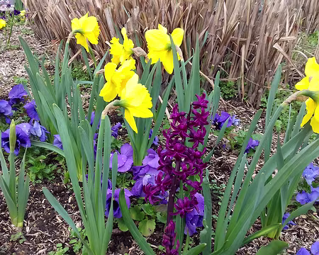 049 Merci Gilles pour cette belle randonnée printanière dans le Val d’Oise.