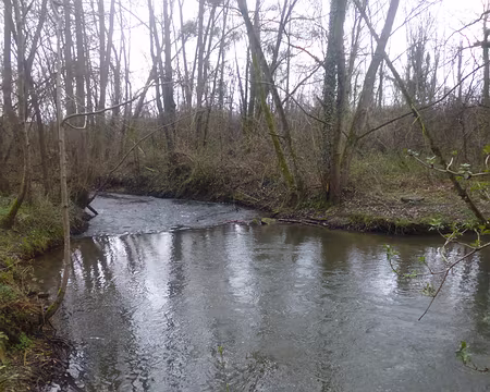 P1160455 La Rémarde (36 km de long) se jette dans l'Orge à St-Germain-les-Arpajon