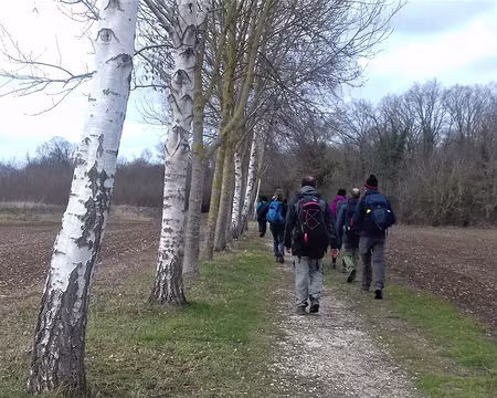 045 Sur les hauteurs de Coupvray