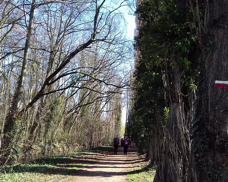 010 Le GR 655 (Via turonensis) longe la rivière