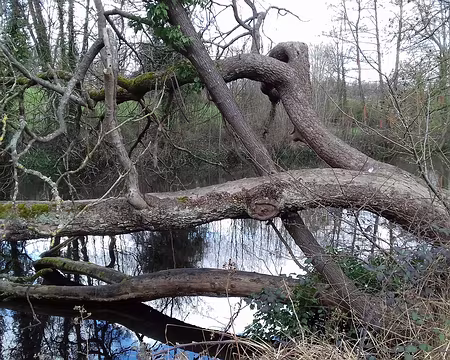 020 Figures de style