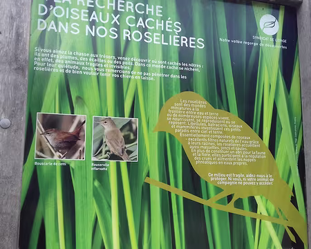 044 La vallée de l’Orge abrite 63 espèces d’oiseaux nicheurs