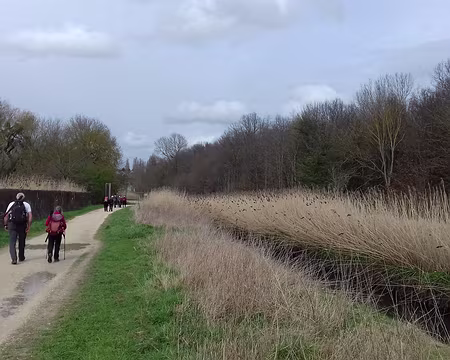 046 Les roseaux filtrent l’eau et la purifient