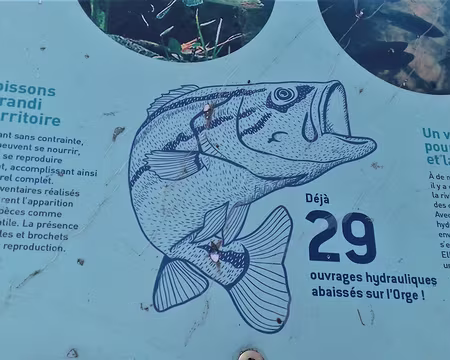 048 Heureux comme un poisson dans l’Orge