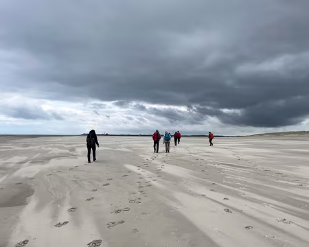 20230415-11h19m14s-IMG_4625-V3