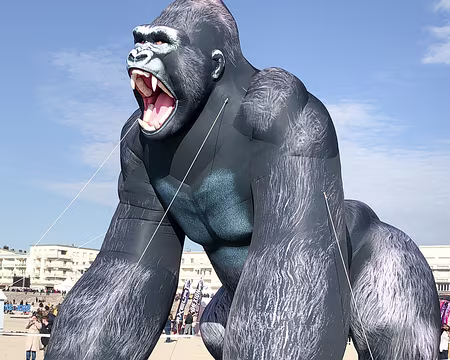 20230415-17h38m52s-IMG_0270-V3