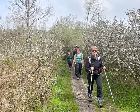 20230416-11h47m50s-IMG_4666-V3