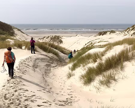 20230416-14h16m26s-IMG_0278-V3