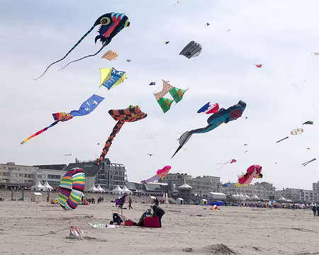 20230416-14h49m21s-IMG_0286-V3