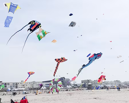 20230416-14h50m34s-20230416_145034-V3