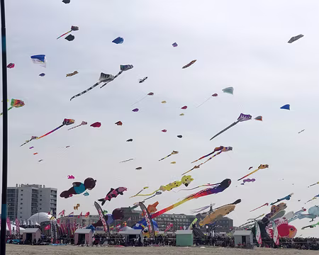 20230416-14h58m55s-IMG_0295-V3