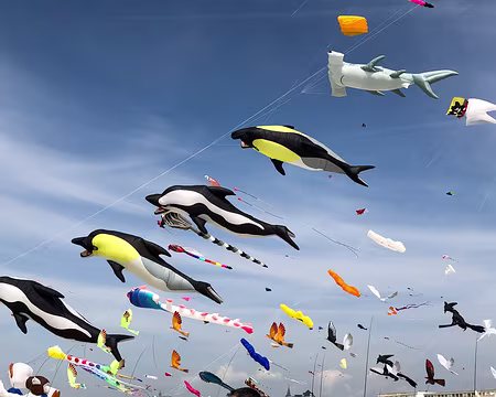 20230416-15h05m00s-IMG_0298-V3