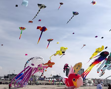 20230416-15h09m50s-IMG_0300-V3